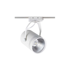 ACK 6500K Beyaz 30W Beyaz Kasa Cob Led Ray Spot Armatür AD30-01930 