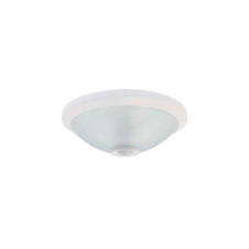 Pelsan Sensörlü Acil Aydınlatma Kitli Cam 8w 6500K Beyaz Işık 300x105 Led Armatür 104369